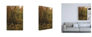 Trademark Global Kurt Shaffer Photographs Sunlight in a November Forest Canvas Art - 36.5" x 48"